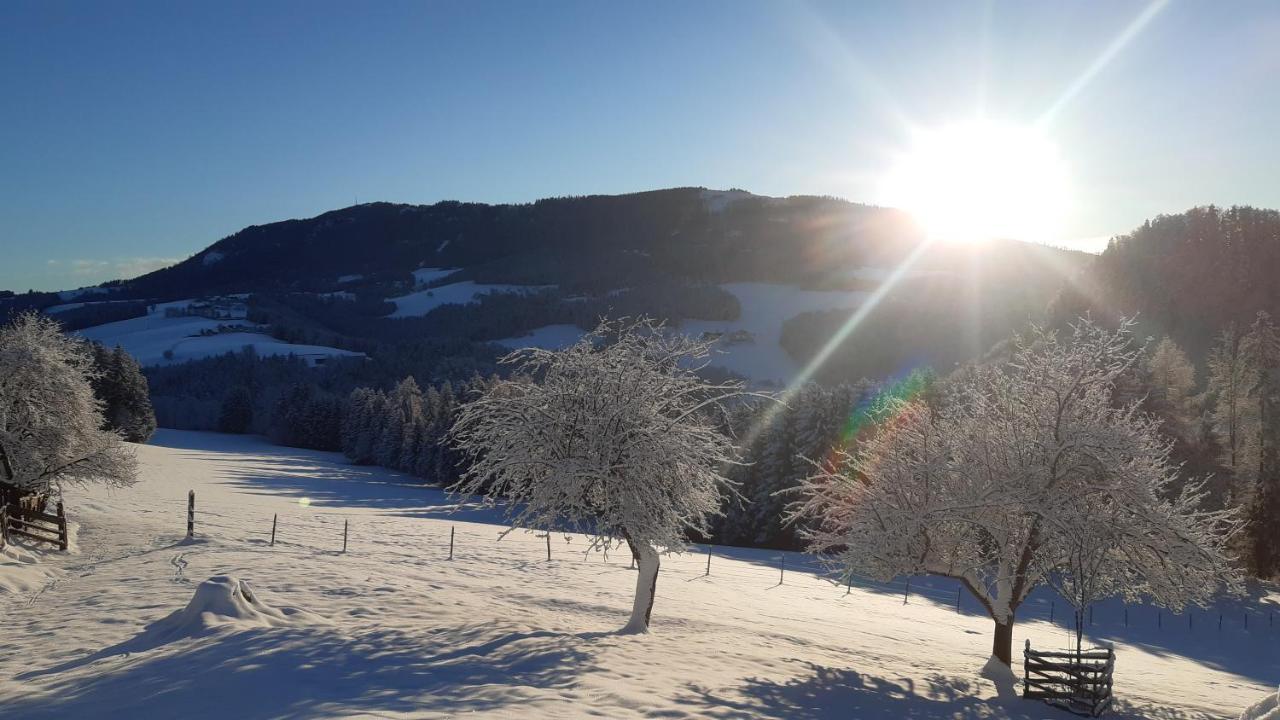 Ferienhaus Reisinger Promschhof Semriach Kültér fotó