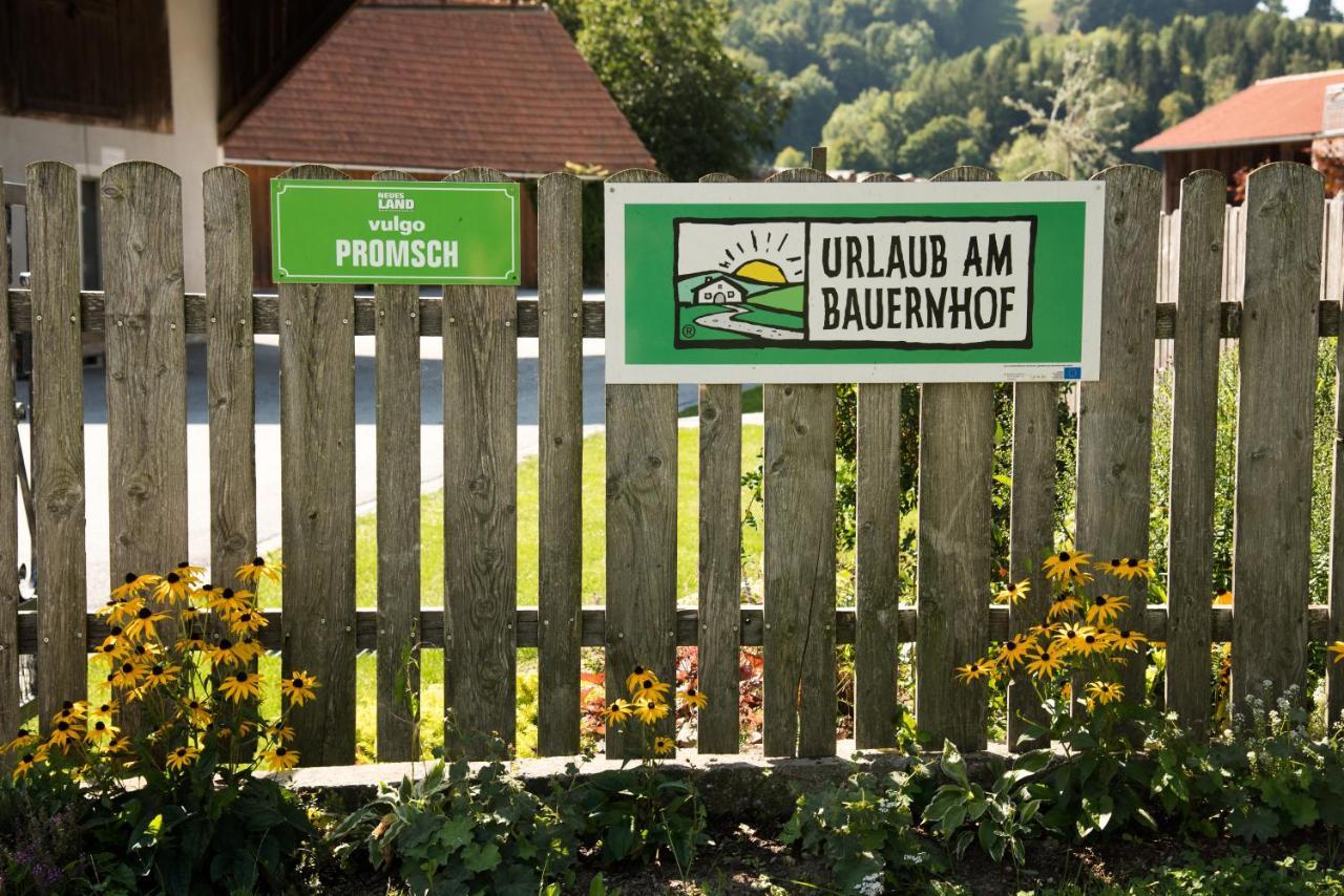 Ferienhaus Reisinger Promschhof Semriach Kültér fotó