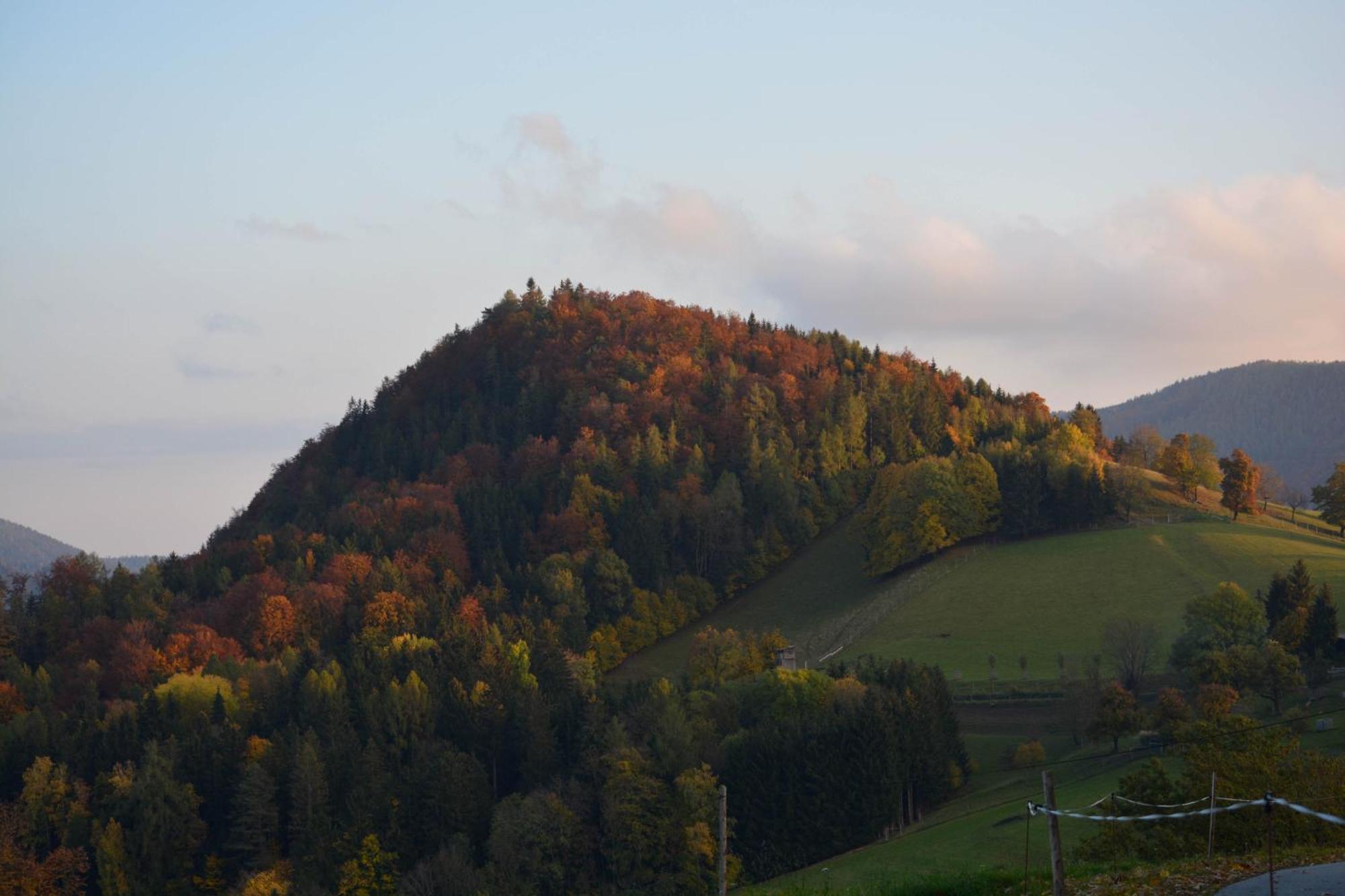 Ferienhaus Reisinger Promschhof Semriach Kültér fotó